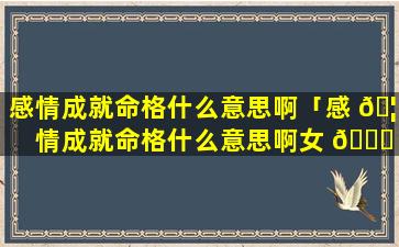 感情成就命格什么意思啊「感 🦍 情成就命格什么意思啊女 🍁 生」